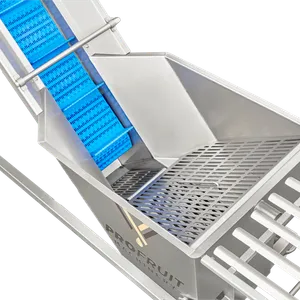 Opsamlingsbeholder i rustfrit stål med perforeret plade i bunden er placeret i begyndelsen af transportbåndet