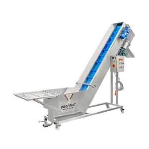 Stor maskine i rustfrit stål, der bruges til at vaske, transportere og knuse frugt