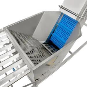 Oppsamlingsbeholder i rustfritt stål med perforert plate i bunnen er plassert i begynnelsen av transportbåndet