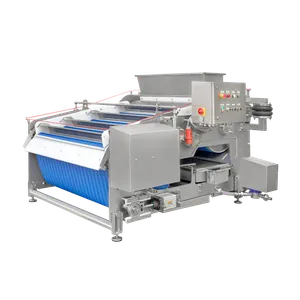 Teknisesti edistyksellinen ruostumattomasta teräksestä valmistettu hihnapuristin, jossa on siniset yksityiskohdat sekä painikkeet ja letkut hedelmien puristamiseen