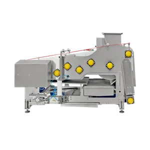 Suuri ruostumattomasta teräksestä valmistettu hihnapuristin, jossa on siniset yksityiskohdat ja säädettävät jalat