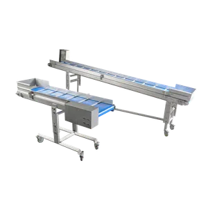 Oversigtsbillede af Sorteringstransportør 3 meter lang og sorteringstransportør kort 1,5 meter