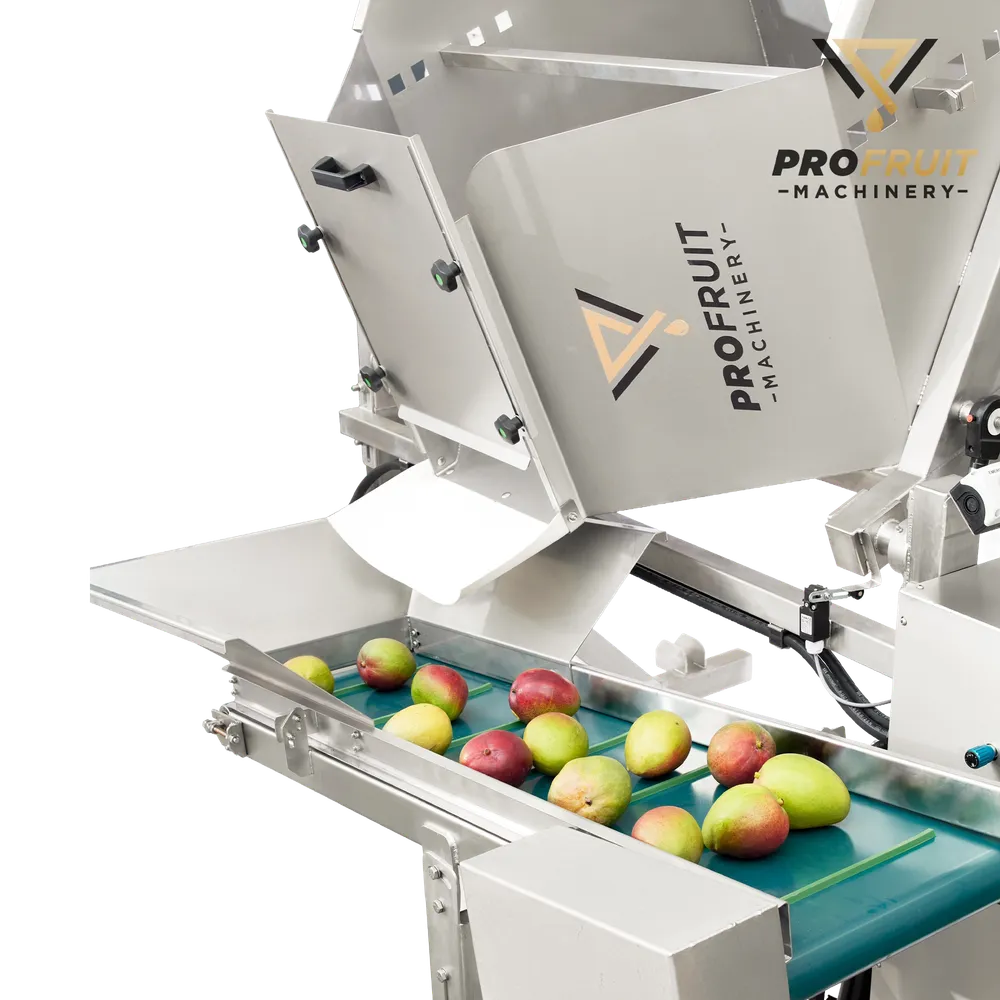 Kassen tippet i foldet position, en tragt centrerer frugt eller bær, når den tømmes fra kassen