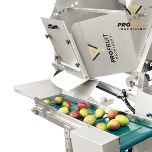 Kassen tippet i foldet position, en tragt centrerer frugt eller bær, når den tømmes fra kassen