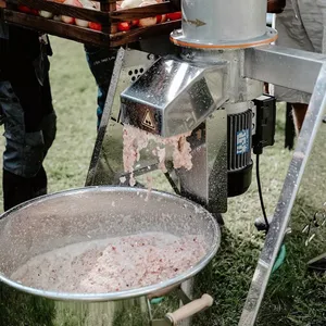 Zottle fruktkvern MMS i bruk med epler som blir malt til fruktmasse