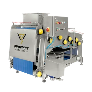 Professionella musterier