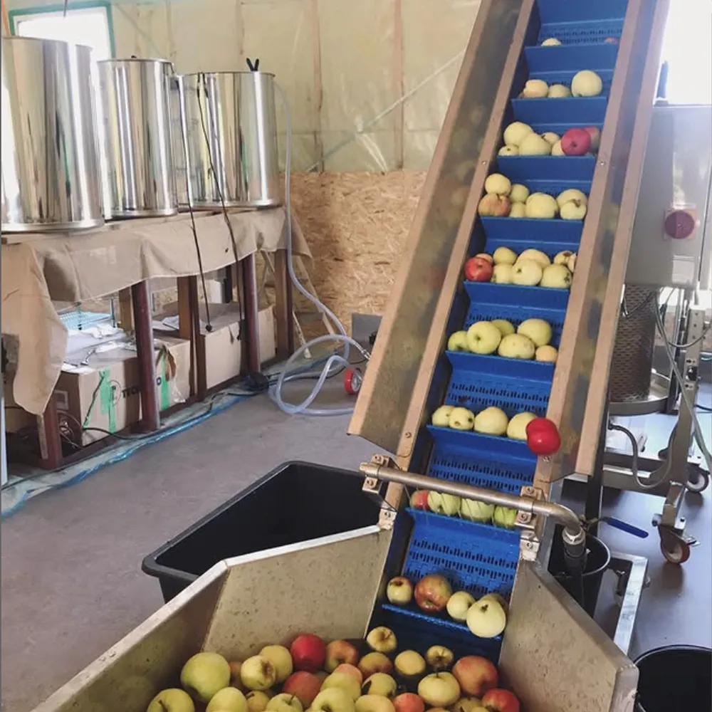 Utrustning för musterier med ett blått transportband som transporterar äpplen