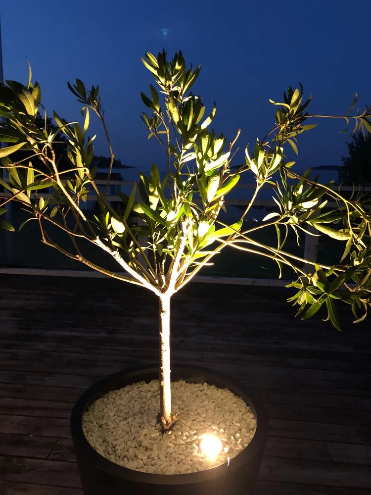 Trädgårdsbelysning 12V 4,5W COB LED - 5