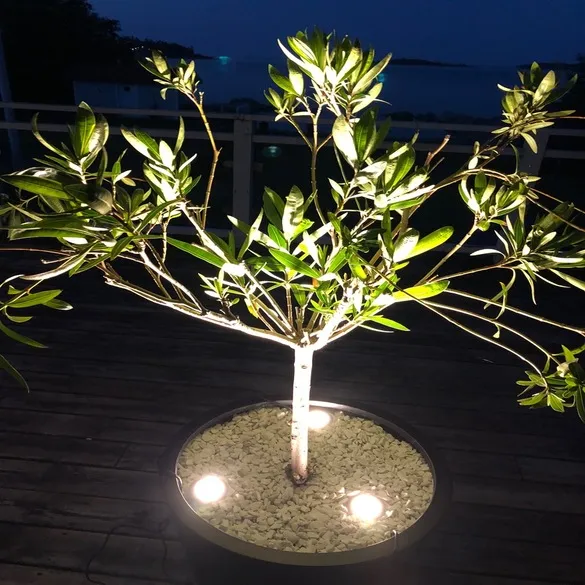 Trädgårdsbelysning komplett paket 12V 3x4,5W COB LED - 6