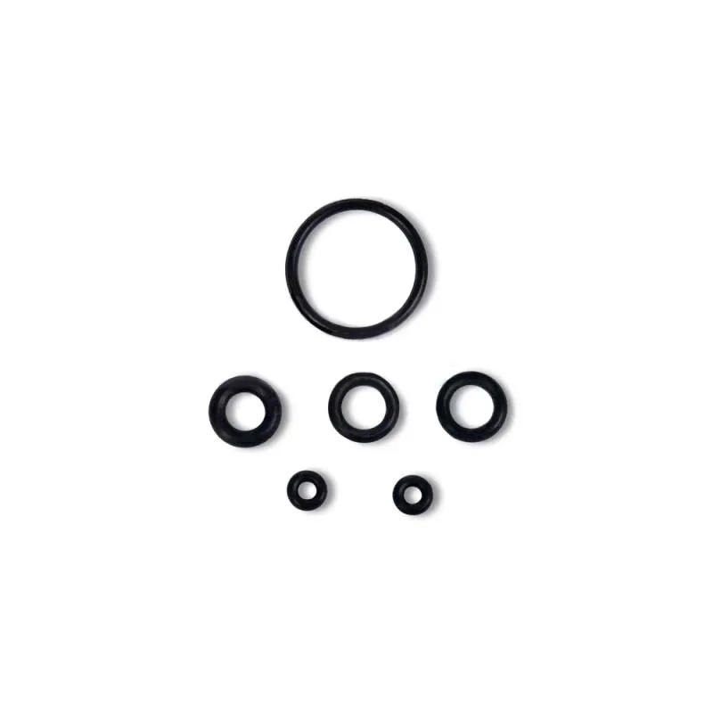 O-ring sats förgasare