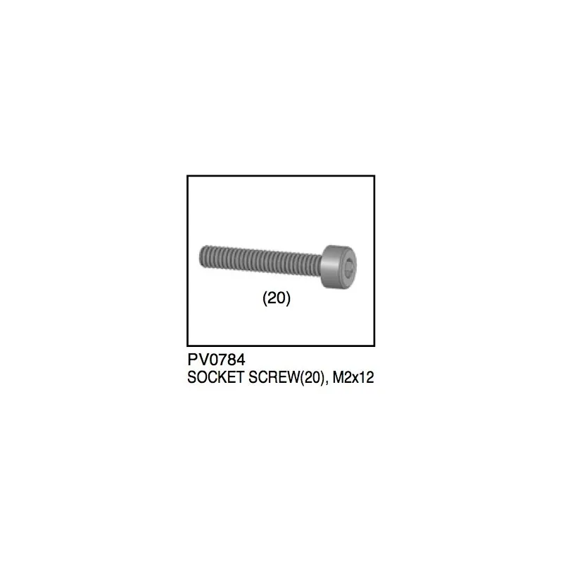 Skruv socket M2x12 (20)