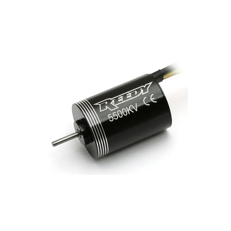 Reedy Micro BL motor 5500kV