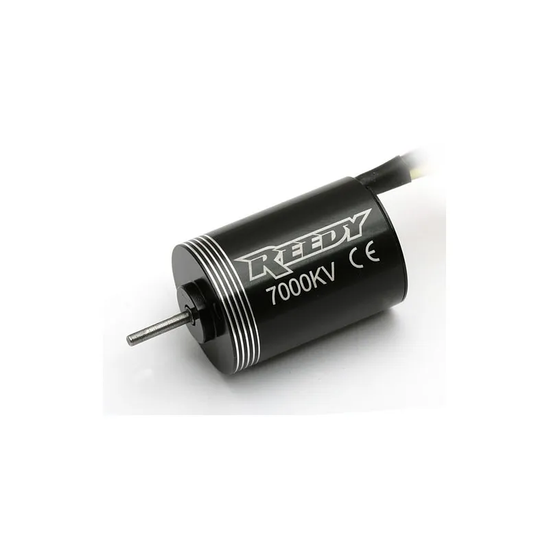 Reedy Micro BL motor 7000kV