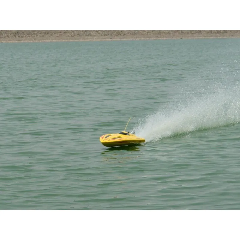 Outlaw 7.5 S.C. 2,4G - 5