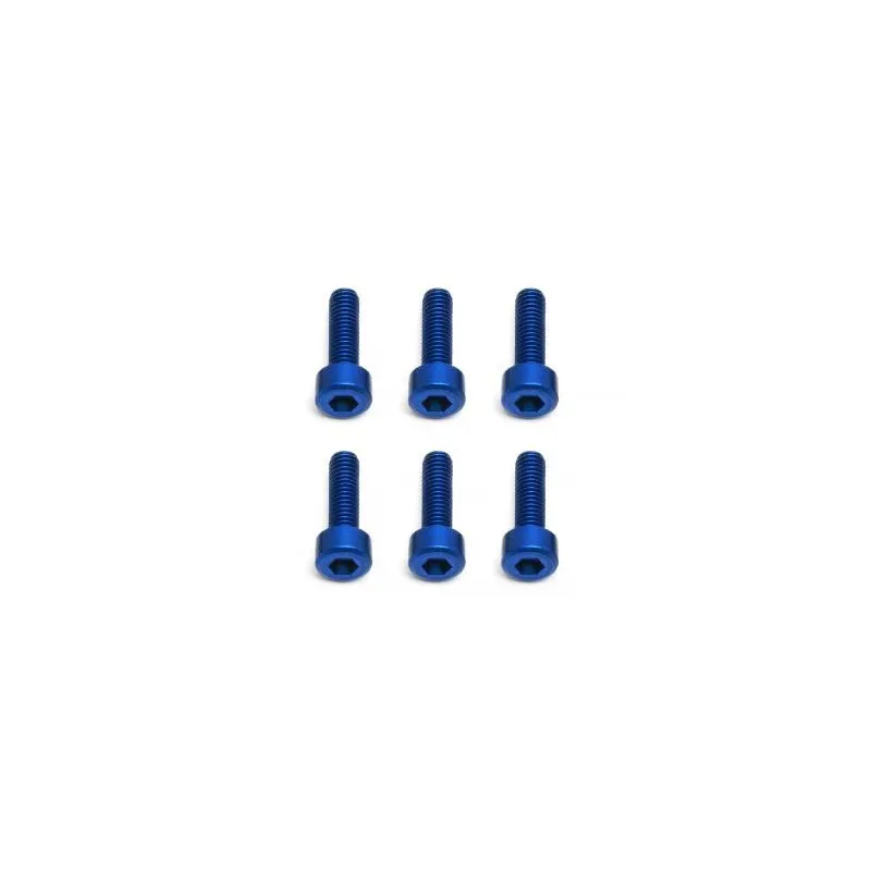 Skruv M3x10 SHCS, aluminium (6)