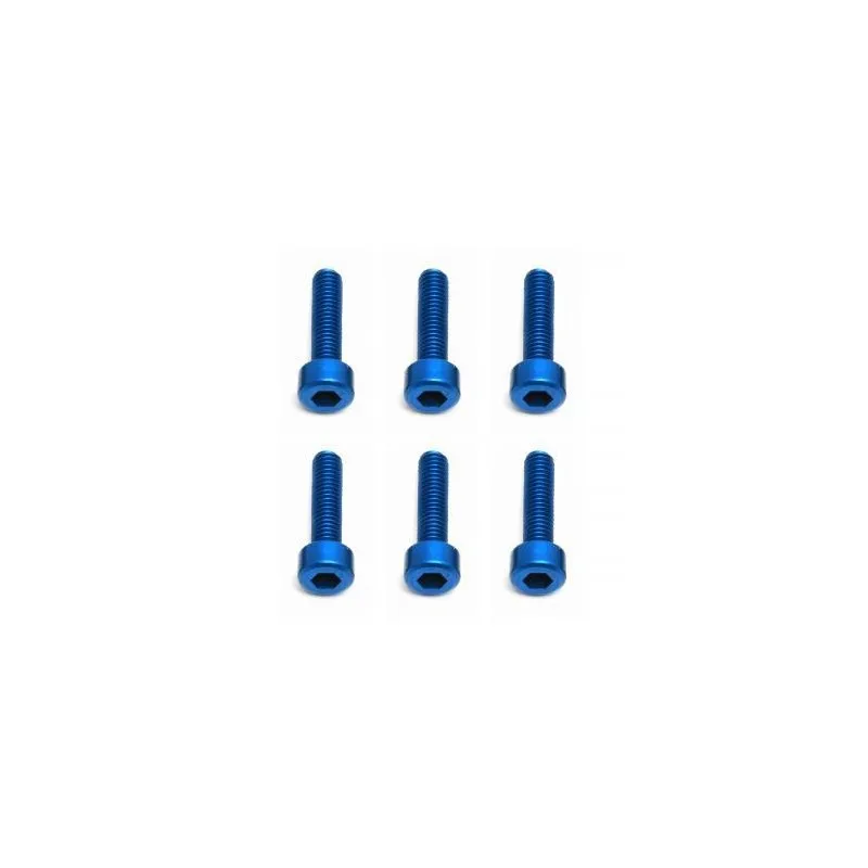 Skruv M3x12 SHCS, aluminium (6)