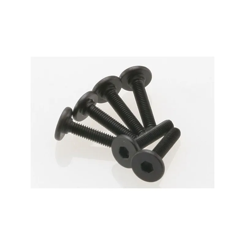 Skruv M3x15mm Platt Insex (6)