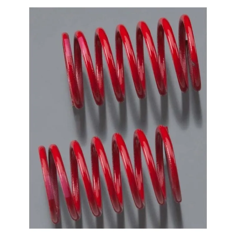 Stötdämparfjäder Rosa 2.77 (2)