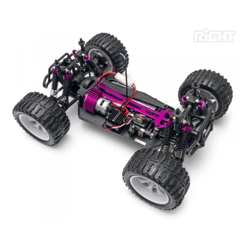 BRONTOSAURUS 1/10 Monster Truck EP 4WD 2.4G WP