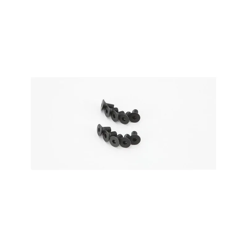 Flat Head Screw(Hex/M3x5/10pcs)