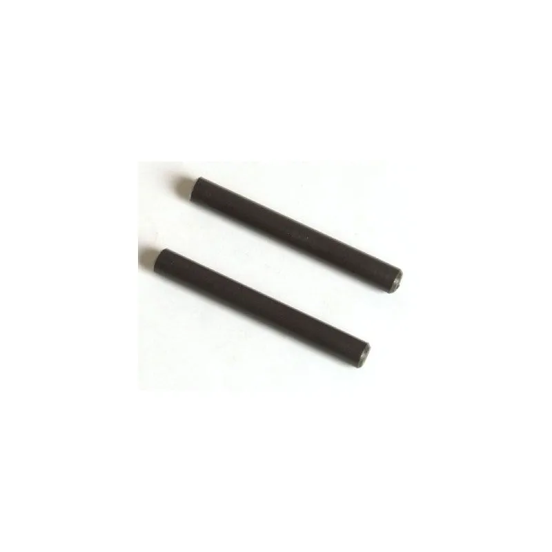 HINGE PIN REAR LOWER SX-3 013 - SX-4, 2 PCS.