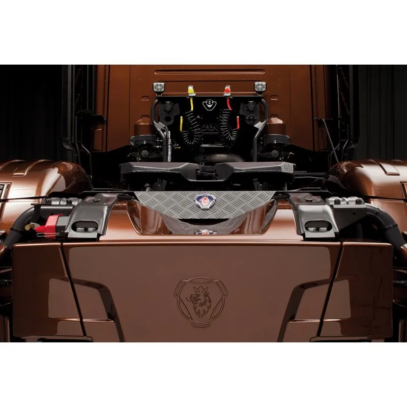 1/24 Scania R Black Amber incl. amber Paint - 8