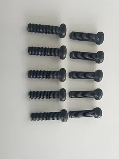 Phillips Skruv M3x10mm (10)