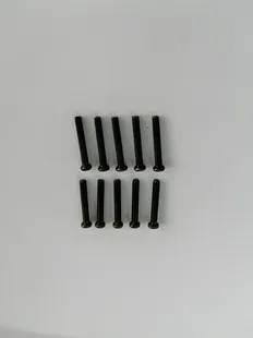 Phillips Skruv M2.5x16mm (10)