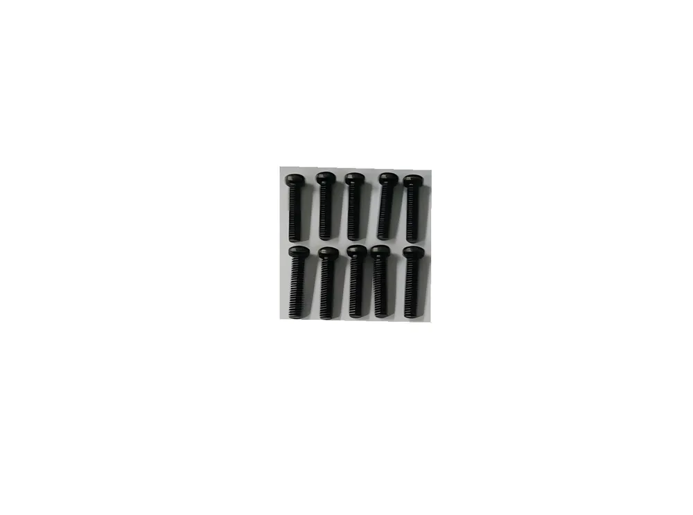 Phillips Skruv M3x14mm (10) - 2