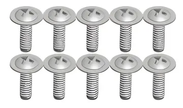 Phillips Skruv 2x6mm (10)