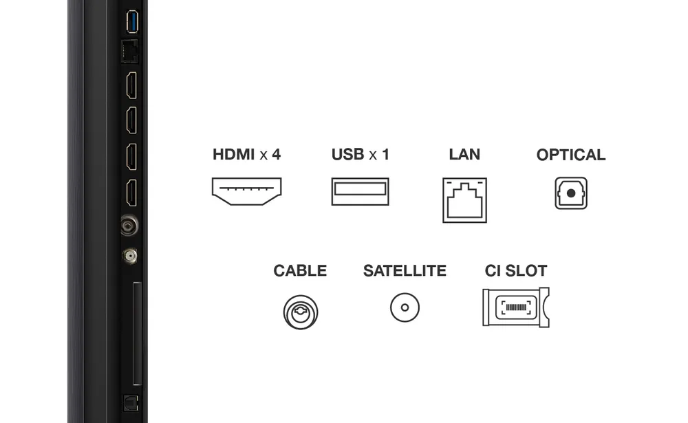 TCL 55