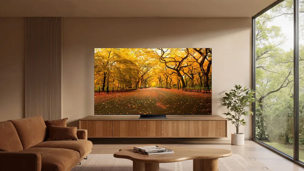 TCL 55