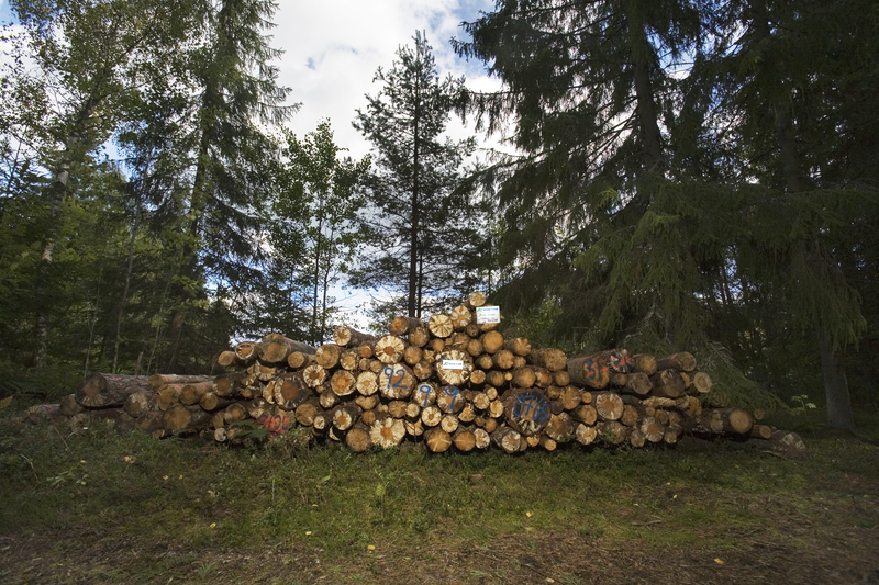 En bild på Småländsk energived på väg till Alvesta Energis värmeverk.