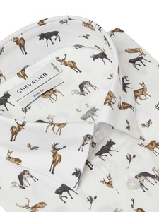 Danson Contemporary Fit Shirt Chevalier - Royal Family Print 