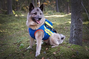 GPS Väst Boett