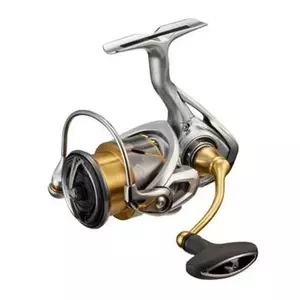DAIWA 21 FREAMS LT HASPELRULLE