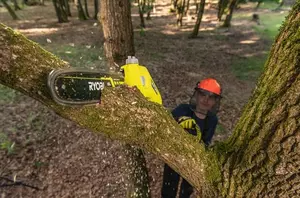 Ryobi RY36PP25A-0 Förlängningsbar Grensåg 