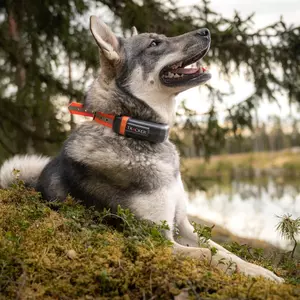 Tracker LUNA Hundpejl