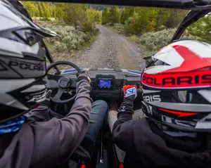 Polaris RZR 200 EFI *