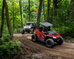 Polaris RZR 200 EFI *