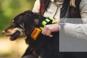 WeHuntGPS Plus Hundpejl