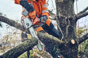 Husqvarna T542i XP G Professionell Batterimotorsåg 