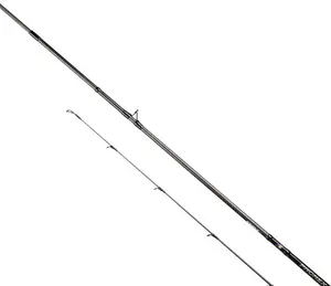 DAIWA PROREX AGS 2025 CASTING (MULTI)