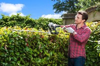 Ryobi RHT5655RS Häcksax 