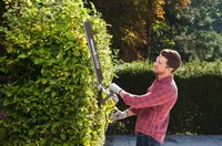 Ryobi RHT8165RL Häcksax 