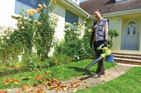 Ryobi RBV3000CSV Trädgårdsstädare