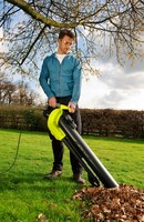Ryobi RBV3000CESV Trädgårdsstädare 