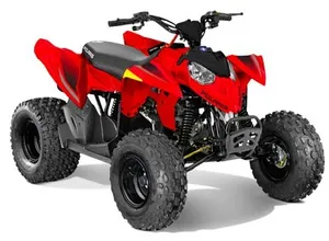 Polaris Outlaw 110 EFI *