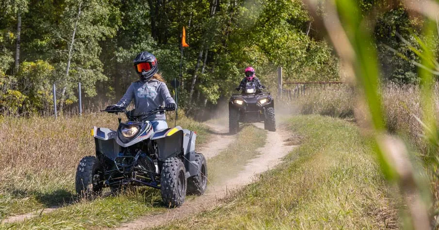 Polaris Phoenix 200 