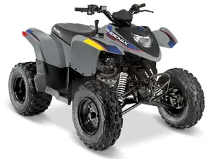 Polaris Phoenix 200 *